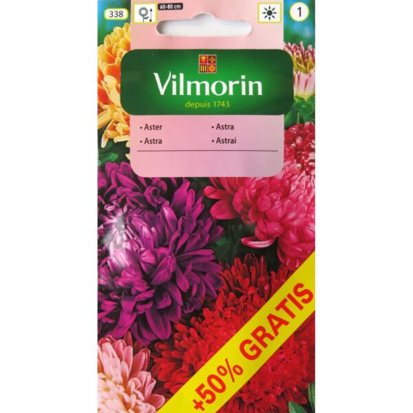 Vilmorin Aster 1g + 50% GRATIS