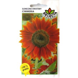 Selecta Słonecznik kwiatowy Cimmeria  1g + 50% Gratis