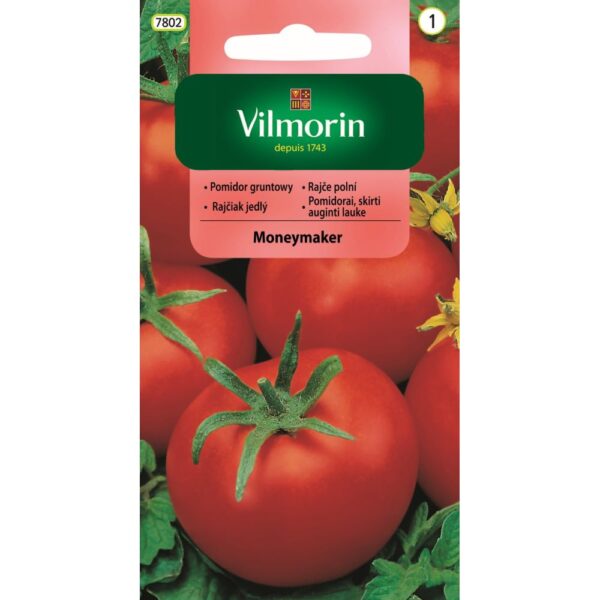 Vilmorin Pomidor Moneymaker 1g