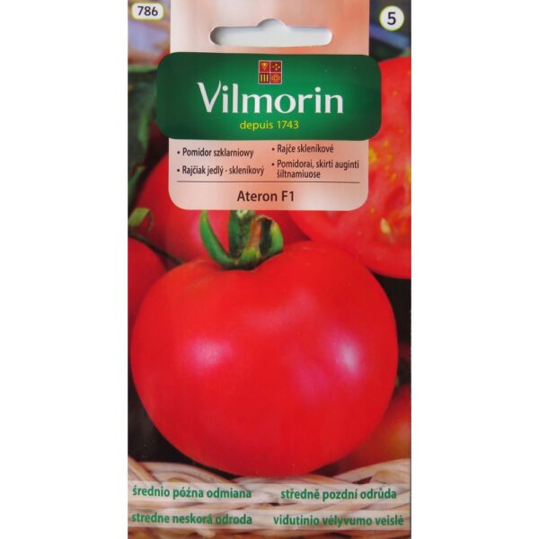 Vilmorin Pomidor szklarniowy Ateron 0,2g
