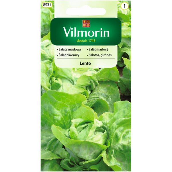 Vilmorin Sałata Lento 0,5 g