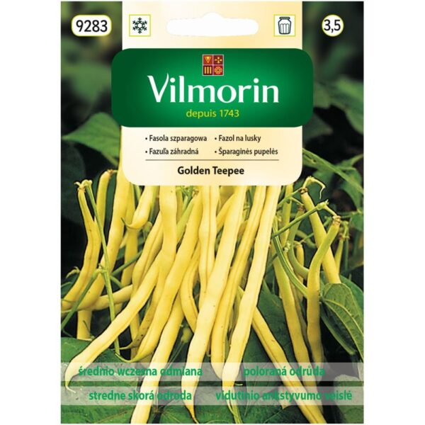 Vilmorin Fasola szparagowa Golden Teepee 30g