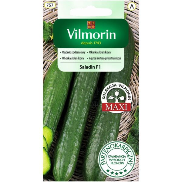 Vilmorin Ogórek szklarniowy Saladin 0,8 g